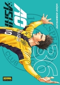 AO ASHI 36